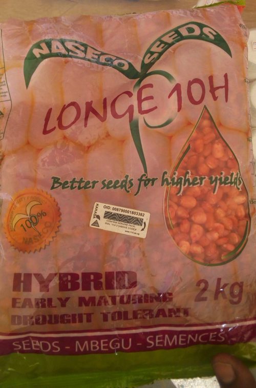Longe 10h maize seeds image