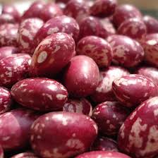 Nabe beans seeds image