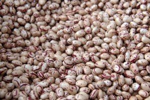 naro bean seeds image